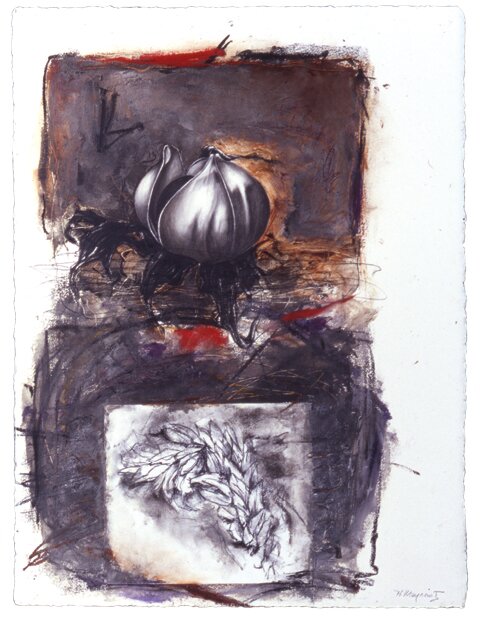 Helen Meyrowitz, Morning Glory Seed, 2005, charcoal, oil bar, pastel, collage
