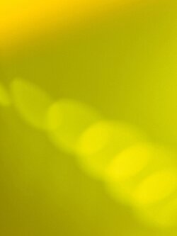 Cree Bruins, Image from the Leader Series, 2006 - 2009