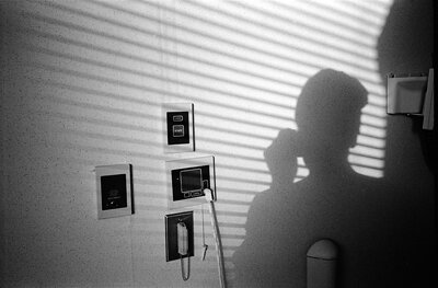 Willard Traub
